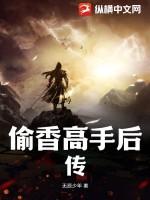 偷香高手后传 偷香高手后传